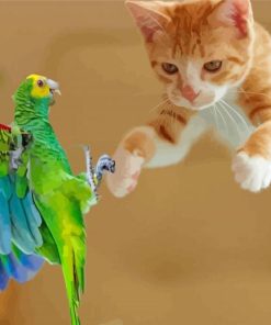 Cat Parrot Playing Paint By Numbers