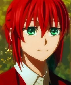 Chise Hatori Ancient Magus Bride Paint By Numbers