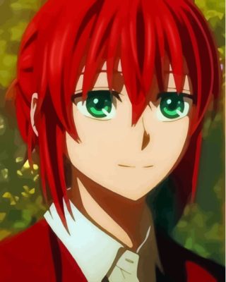 Chise Hatori Ancient Magus Bride Paint By Numbers