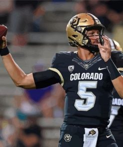 Colorado Buffaloes Football Player Paint By Numbers