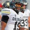 Colorado Buffaloes Footballer Paint By Numbers