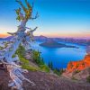 Crater Lake View Paint By Numbers