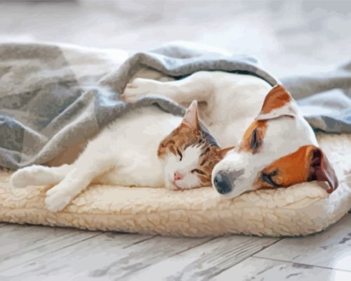 Cute Sleeping Dog And Cat Paint By Numbers