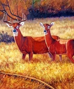 Deer Couple In Field Paint By Numbers