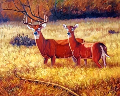 Deer Couple In Field Paint By Numbers