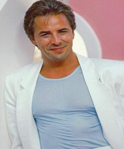 Don Johnson Paint By Numbers