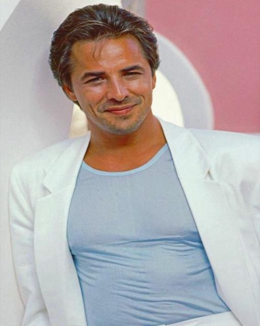 Don Johnson Paint By Numbers