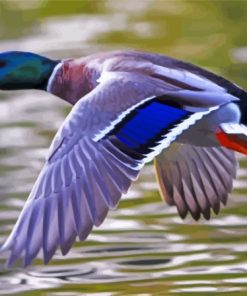 Duck Flying Paint By Numbers