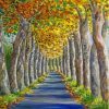 Fall Alley Trees Paint By Numbers