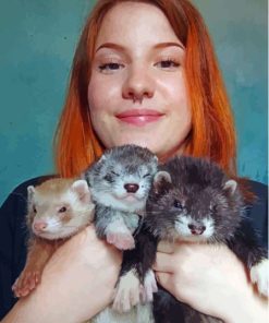 Ferrets And Woman Paint By Numbers