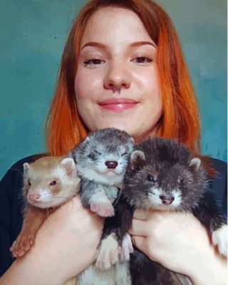 Ferrets And Woman Paint By Numbers