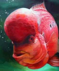 Flowerhorn Fish Paint By Numbers