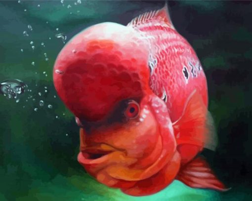 Flowerhorn Fish Paint By Numbers