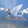 Flying Dog Angel Paint By Numbers