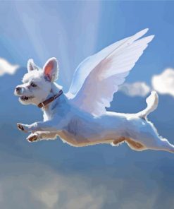 Flying Dog Angel Paint By Numbers