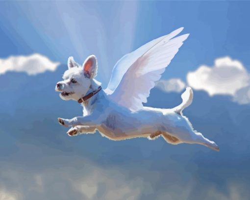 Flying Dog Angel Paint By Numbers