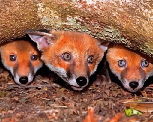 Fox Cubs Paint By Numbers