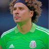 Guillermo Ochoa Footballer Paint By Numbers