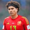 Guillermo Memo Ochoa Paint By Numbers