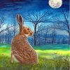 Hare Moon Art Paint By Numbers