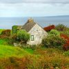 Irish Cottage By The Sea Paint By Numbers