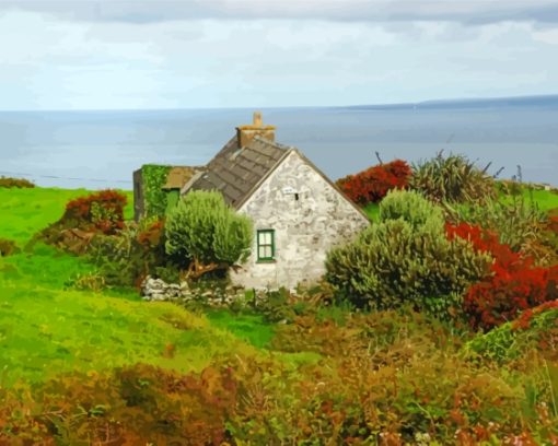 Irish Cottage By The Sea Paint By Numbers