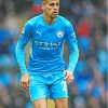 Joao Cancelo Paint By Numbers