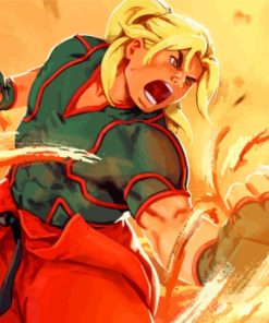 Ken Masters Street Fighter Anime Paint By Numbers