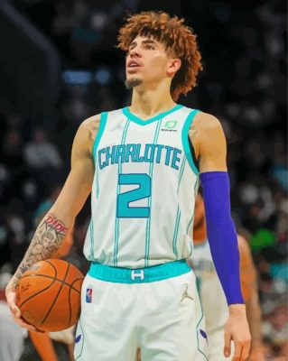 LaMelo Ball Player Paint By Numbers