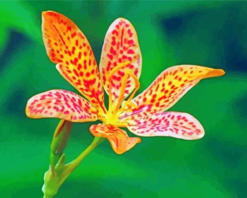 Leopard Flower Art Paint By Numbers