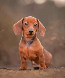 Miniature Dachshund Dog Paint By Numbers