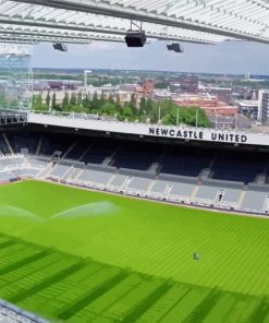 Newcastle Football Stadium Paint By Numbers