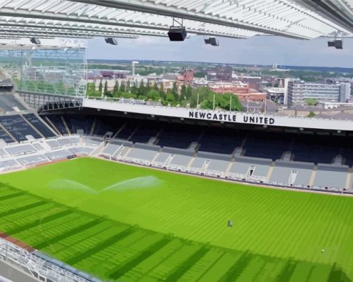 Newcastle Football Stadium Paint By Numbers