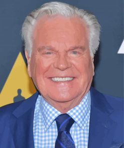 Old Robert Wagner Paint By Numbers