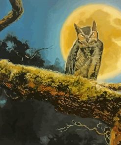 Owl Moon Art Paint By Numbers