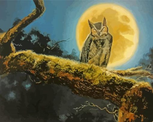 Owl Moon Art Paint By Numbers