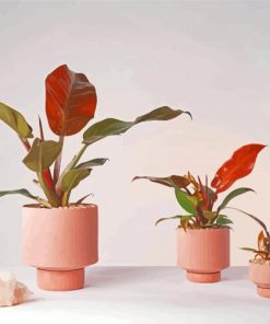 Plants In Pink Vases Paint By Numbers
