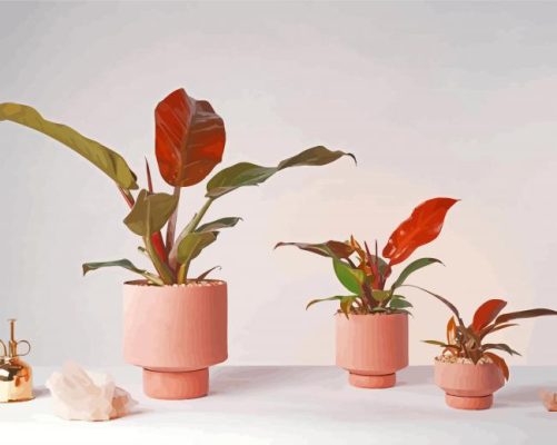 Plants In Pink Vases Paint By Numbers