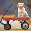 Puppy In Wagon Paint By Numbers