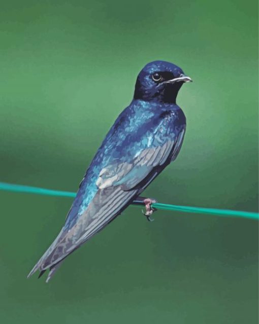 Purple Martin On Stick Paint By Numbers