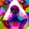 Rainbow Colorful Puppy Paint By Numbers