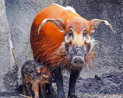 Red River Hog Animals Paint By Numbers