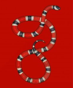 Red Snake Paint By Numbers