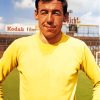 The Goalkeeper Gordon Banks Paint By Numbers