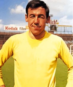 The Goalkeeper Gordon Banks Paint By Numbers