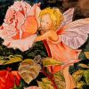 The Rose Fairy Cicely Mary Barker Paint By Numbers