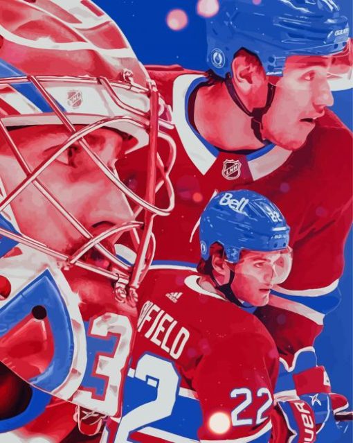 The Canadien Montreal Paint By Numbers