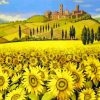 Tuscany Italy Sunflowers Field Paint By Numbers