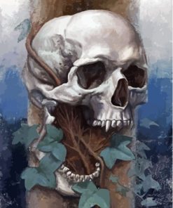 Vampire Skull Paint By Numbers