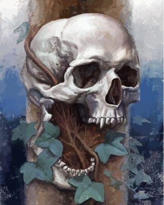 Vampire Skull Paint By Numbers